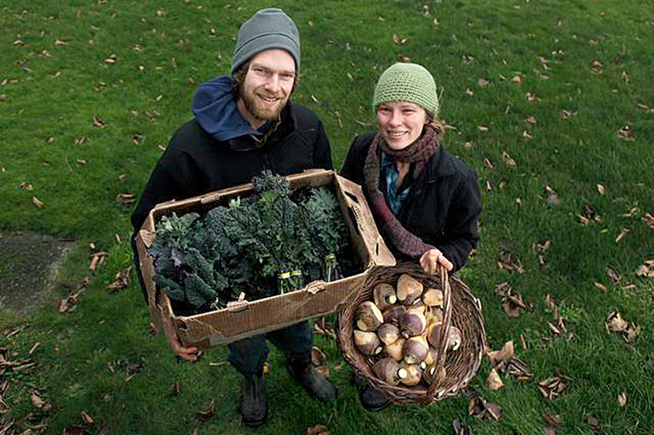 Contributed photo — Nathaniel Talbot and Annie Jesperson of Deep Harvest Farm in Freeland gather produce for their winter shares, which the farm isn’t offering this year after a harsh winter.