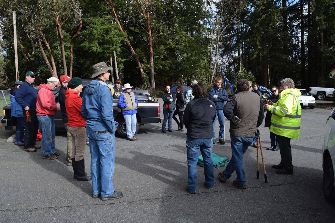 Photo courtesy of Jim Swan — A crew of about 20 volunteers listen to Island County Parks Superintendent Jan Van Muyden (far right) at the beginning of a cleanup effort at Dan Porter Park in Clinton on Saturday.