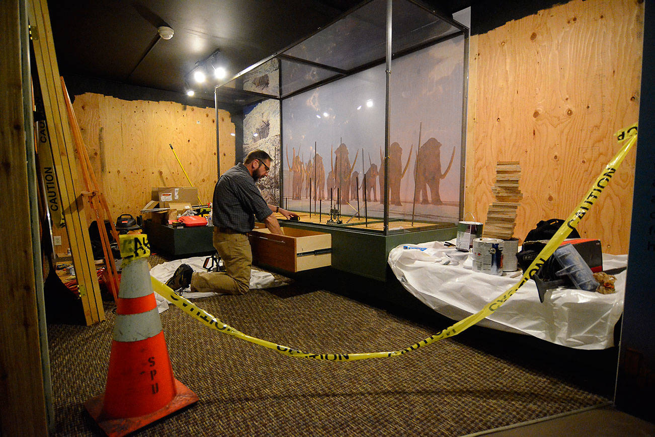 New museum exhibit highlights 120,000 years on Whidbey