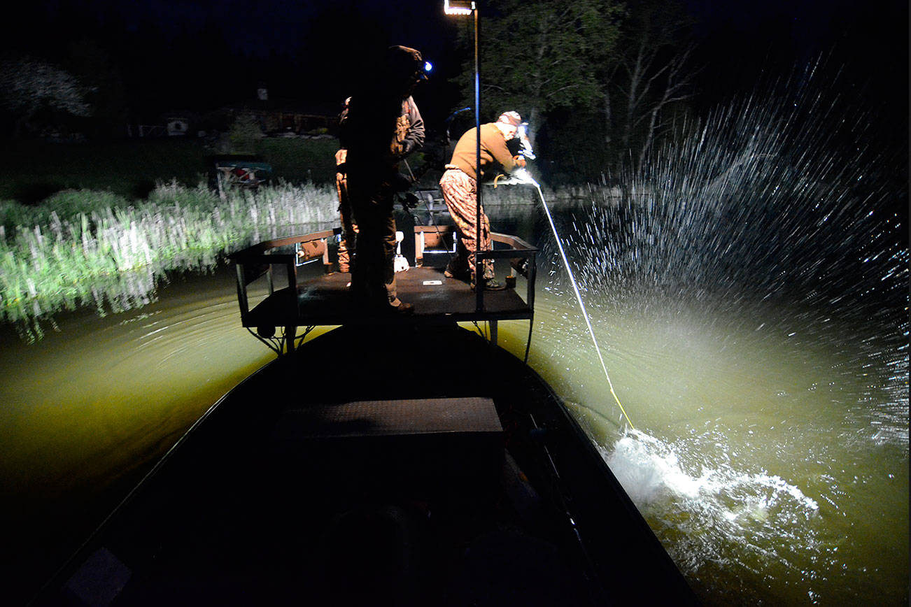 Bow fishermen return to Lone Lake for carp