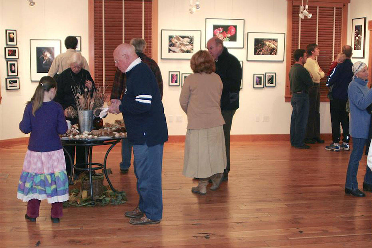 Goosefoot brings art gallery back to Bayview