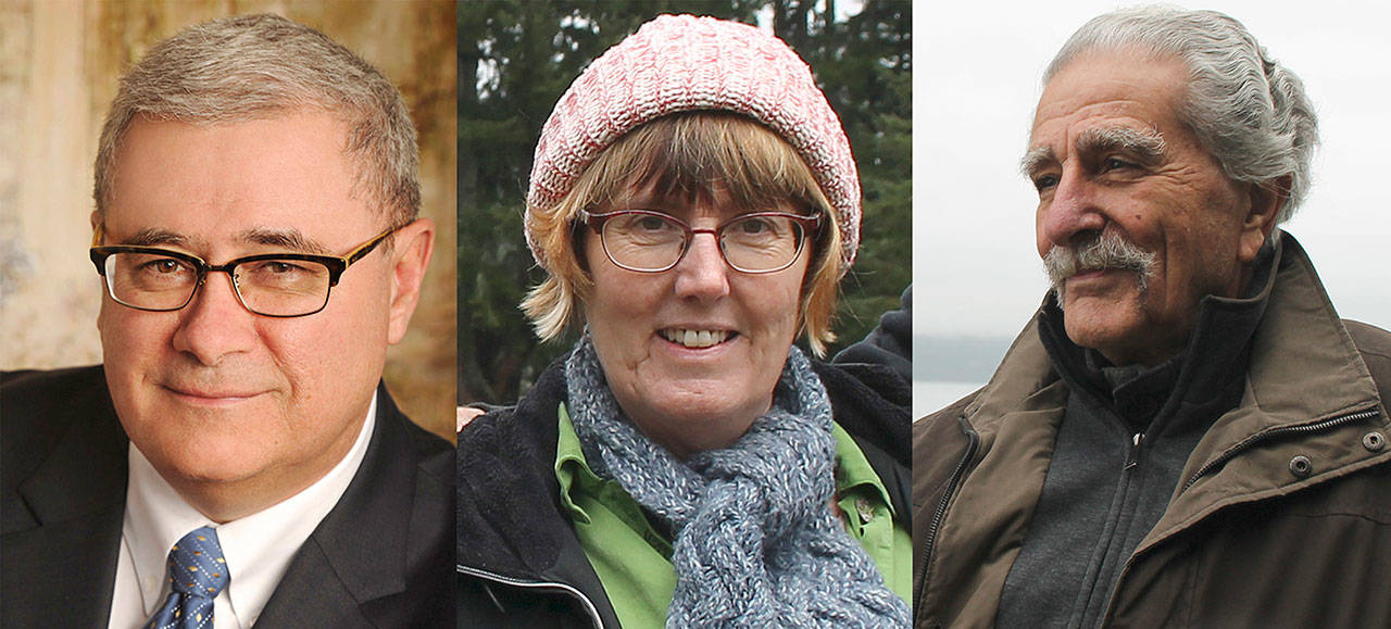 Three Langley residents vie for open city council seat