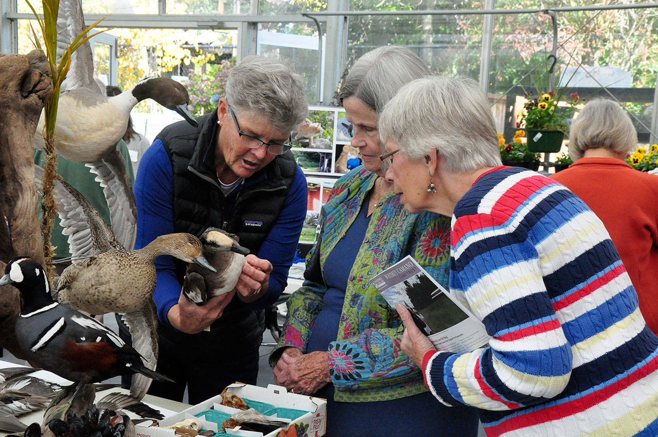 Contributed photo — Whidbey Audubon Society board member Ann Casey (left) discusses ducks with curious visitors at one of Audubon’s “bird in the hand” events.