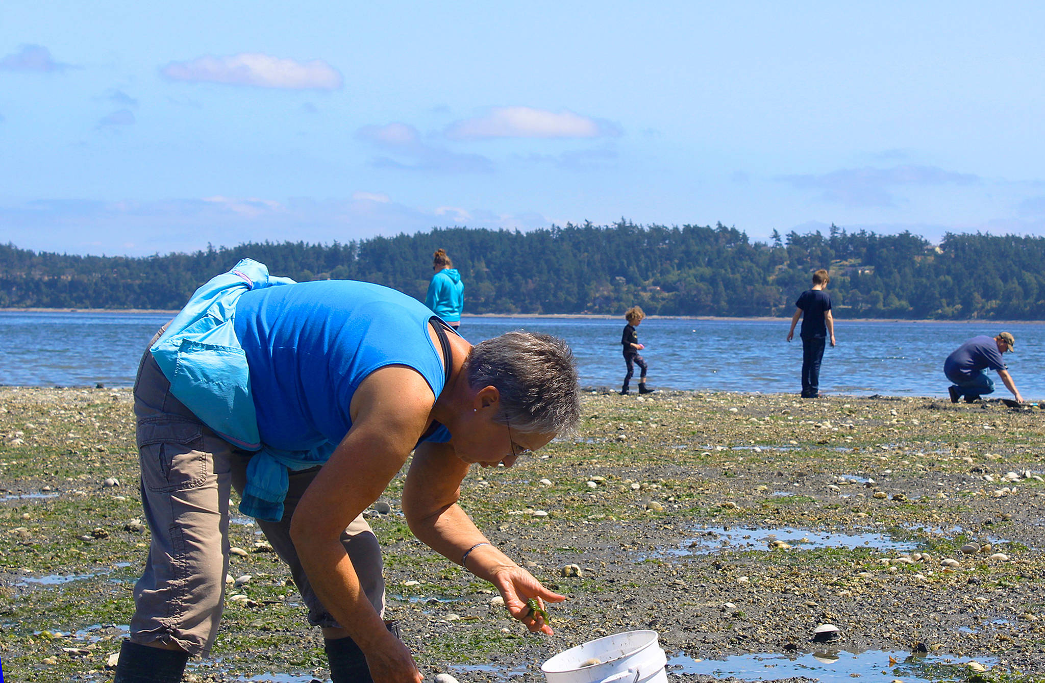 Keeping to the state daily limit of 40 clams weighing no more than ten pounds, Becky Cormier counts the butter clams she unearthed at Penn Cove recently. Photo by Patricia Guthrie/Whidbey News-Times