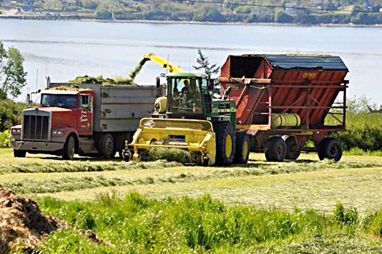 Conservation Futures Funds finalize the 129-acres purchase for a bluff/tideland Barnum Point County Park on Camano Island. Photo by Benjamin Drummond Tractors working out on the 129-acres Penn Cove Farms that raises 1,600 dairy calves for western Washington dairy farms. Photo provided by Whidbey Camano Land Trust