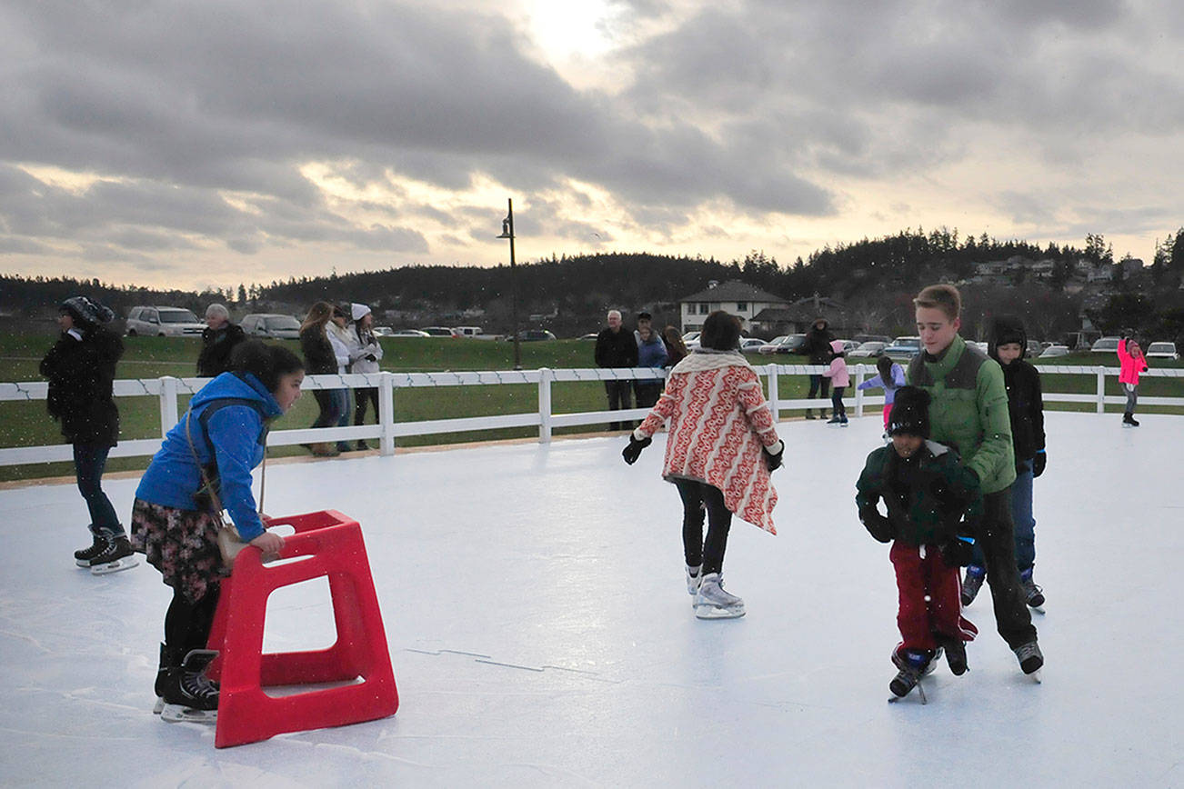 Island Ice in Oak Harbor could get new home