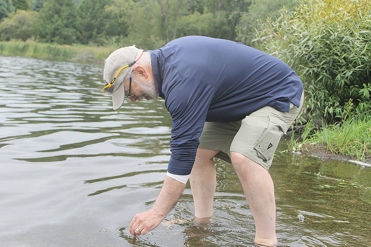 Evan Thompson / The Record &mdash; Clyde Jenkins of the South Whidbey Yacht Club takes a water sample from Lone Lake in July. Recent water samples revealed Anatoxin-a levels had 1,229 micrograms per liter; the state&rsquo;s recreational limit for Anatoxin-a is 1 microgram per liter.