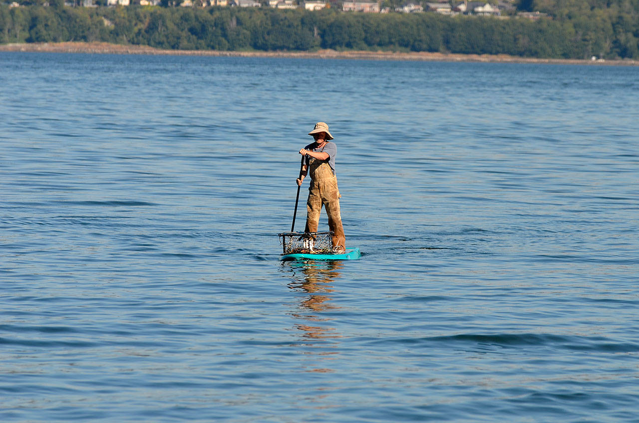 Justin Burnett / The Record &mdash; Clinton resident Jake Stewart paddles back to shore after retrieving his crab pot.