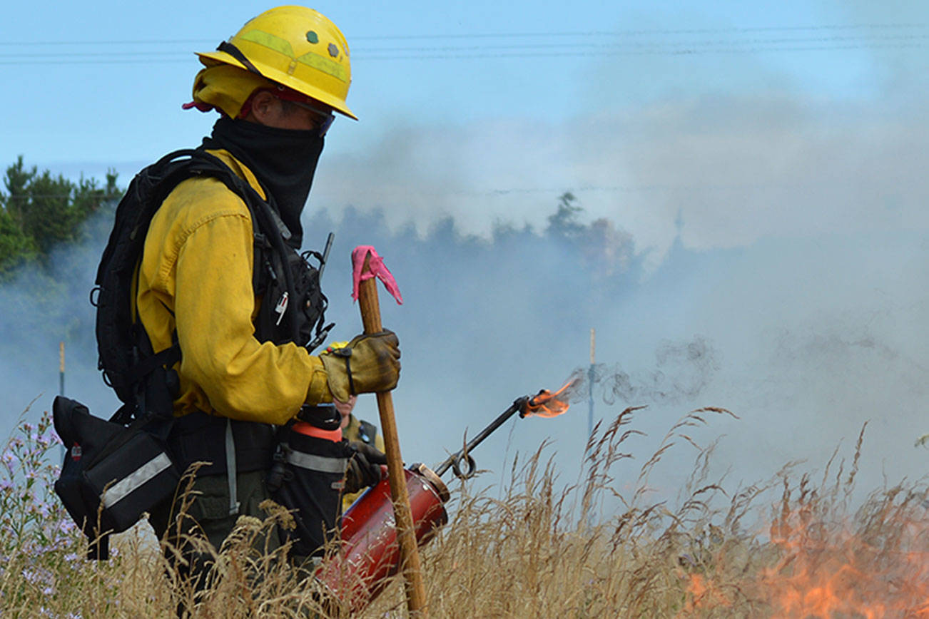 Burning: An ancient tool being used to restore Central Whidbey’s ancient prairies