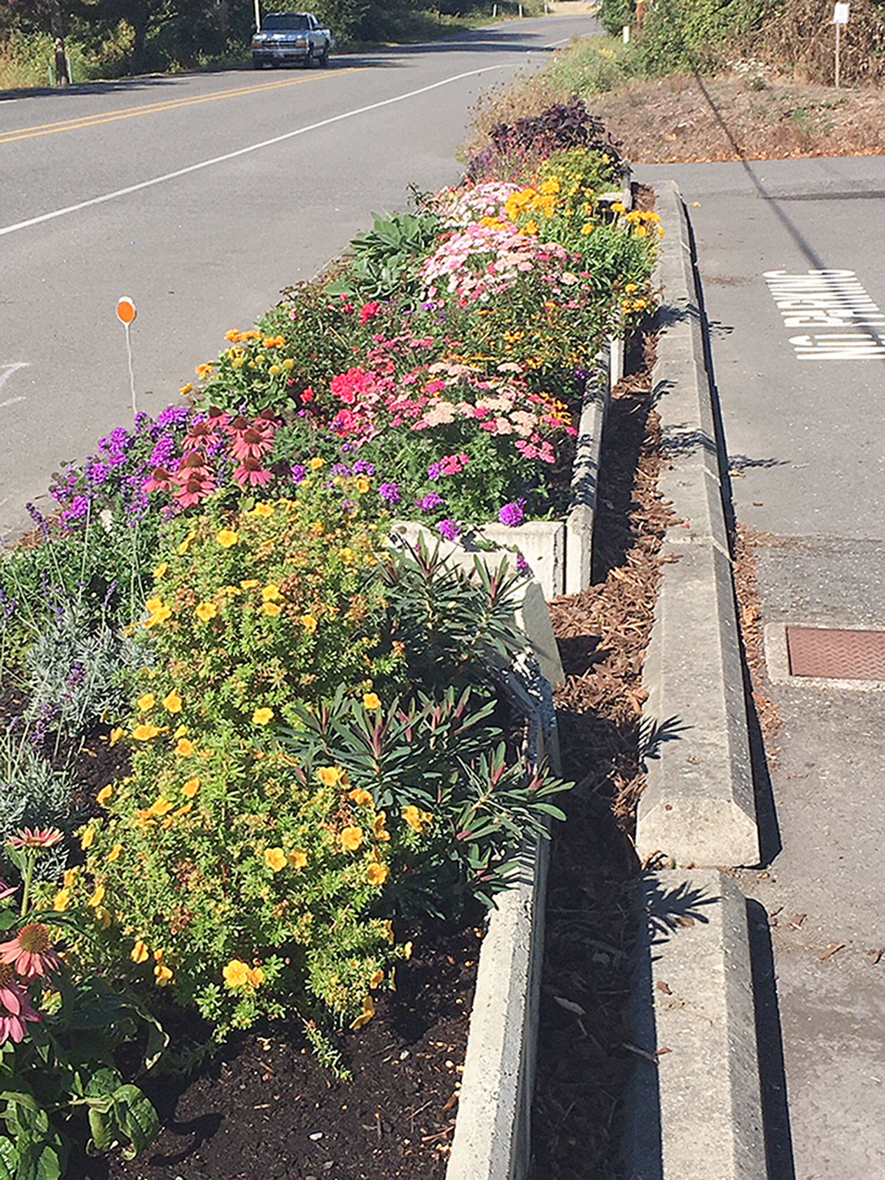 Contributed photo &mdash; A local effort led to the beautification of cement plant boxes in front of the Island County Sheriff&rsquo;s Office in Freeland.