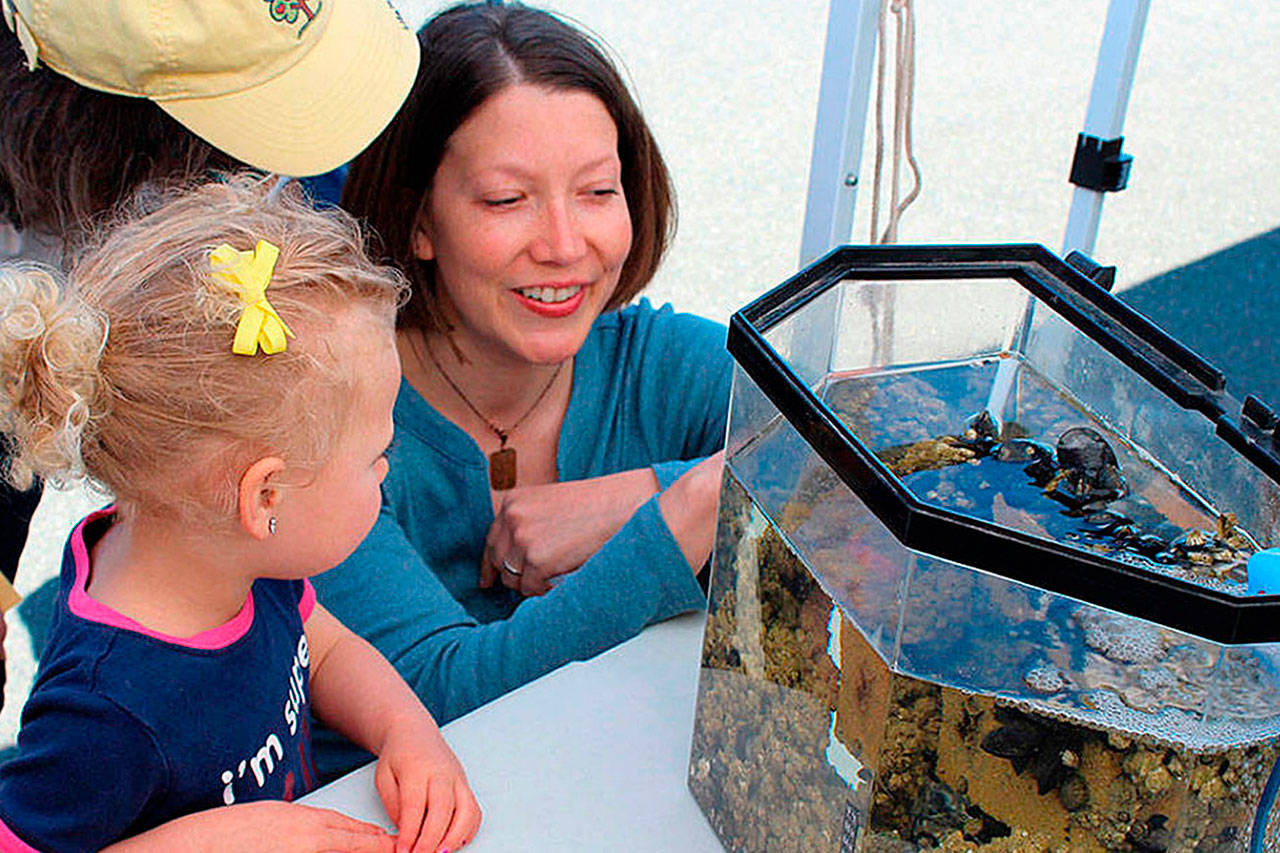 Kelly Zupich with Sound Water Stewards (right) explains to visitors at last years Penn Cove Water Festival how barnacles eat. Photo by Patricia Guthrie/Whidbey News-Times