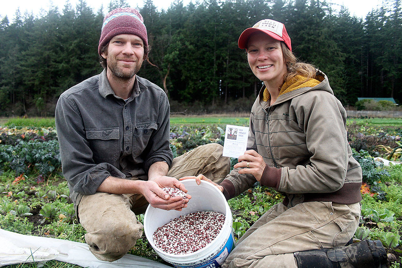 Evan Thompson / The Record — Deep Harvest Farm owners Nathaniel Talbot, left, and Annie Jesperson, right, are expanding their Freeland-based organic seed business to a nationwide market.