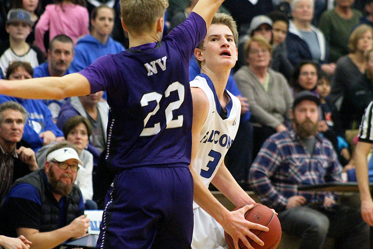 Evan Thompson / The Record — South Whidbey junior Kody Newman looks for opening against Nooksack Valley’s Baylor Galley. The Falcons lost the 1A District 1 Tournament semifinal 65-46.