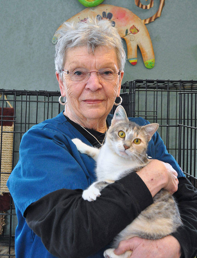 Photo by Mary Jo Adams                                Judy Dewing holds one of the many cats she’s helped nurture over the years as a volunteer at the WAIF Cat Cottage in Freeland.