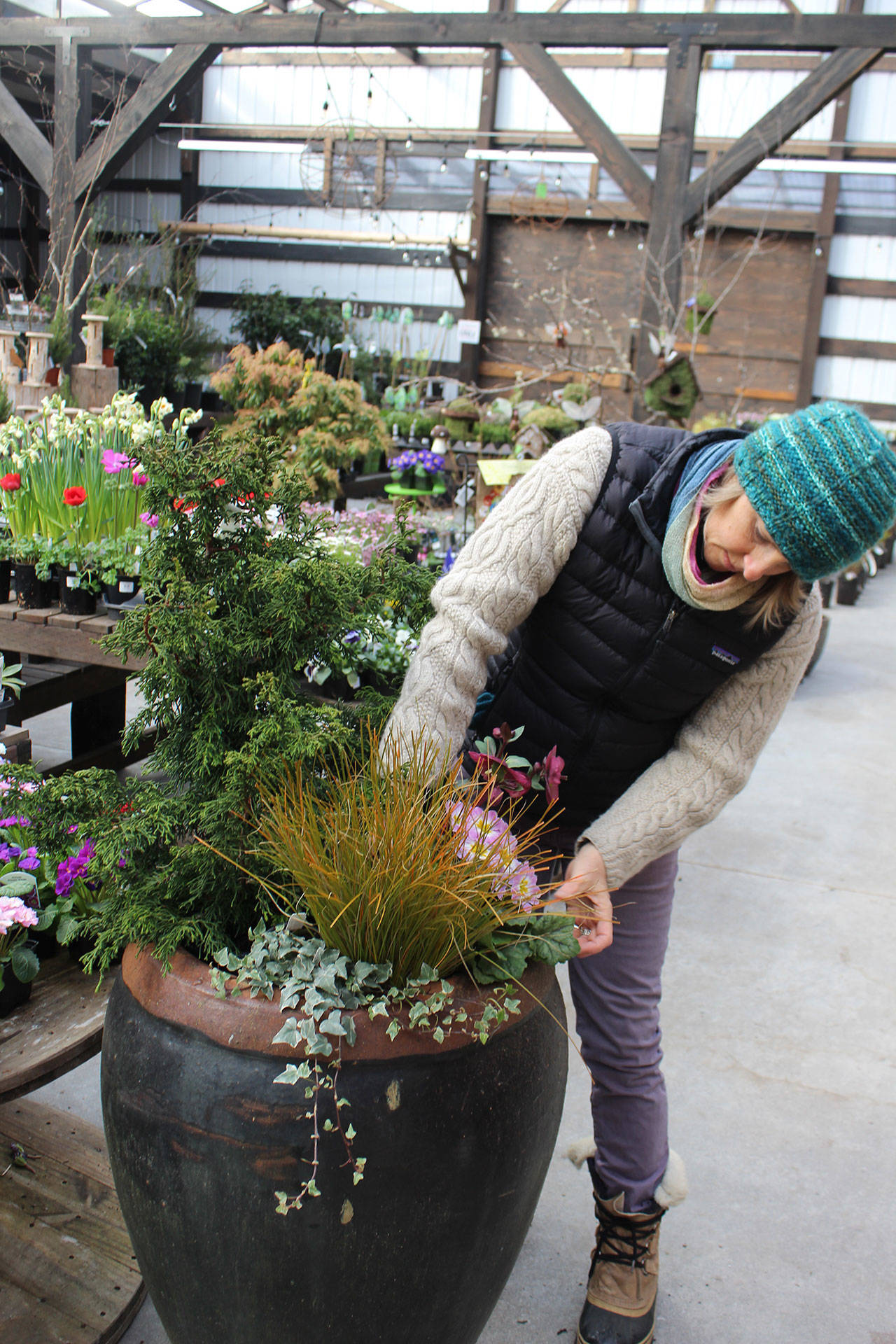 Tobey Nelson arranges a variety of plants and flowers into a large pot at Venture Out, a nursery in Clinton. Nelson, a horticulturist, is teaching the class “Pots with Pizzazz” at the March 3 Whidbey Gardening Workshop. Photo by Patricia Guthrie/Whidbey News-Times