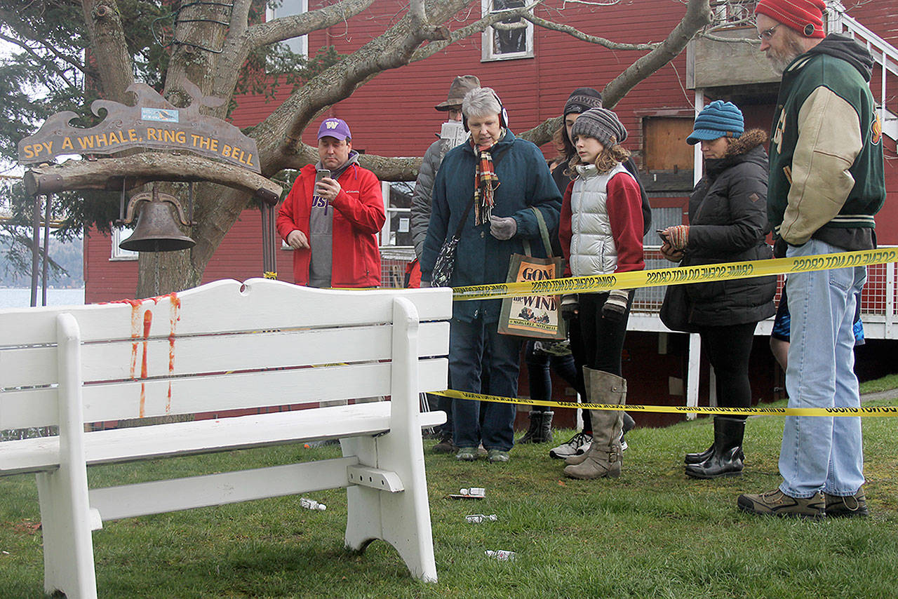 Evan Thompson / The Record — The faux crime scene at Whale Bell Park for the 34th annual Mystery Weekend drew many curious onlookers.