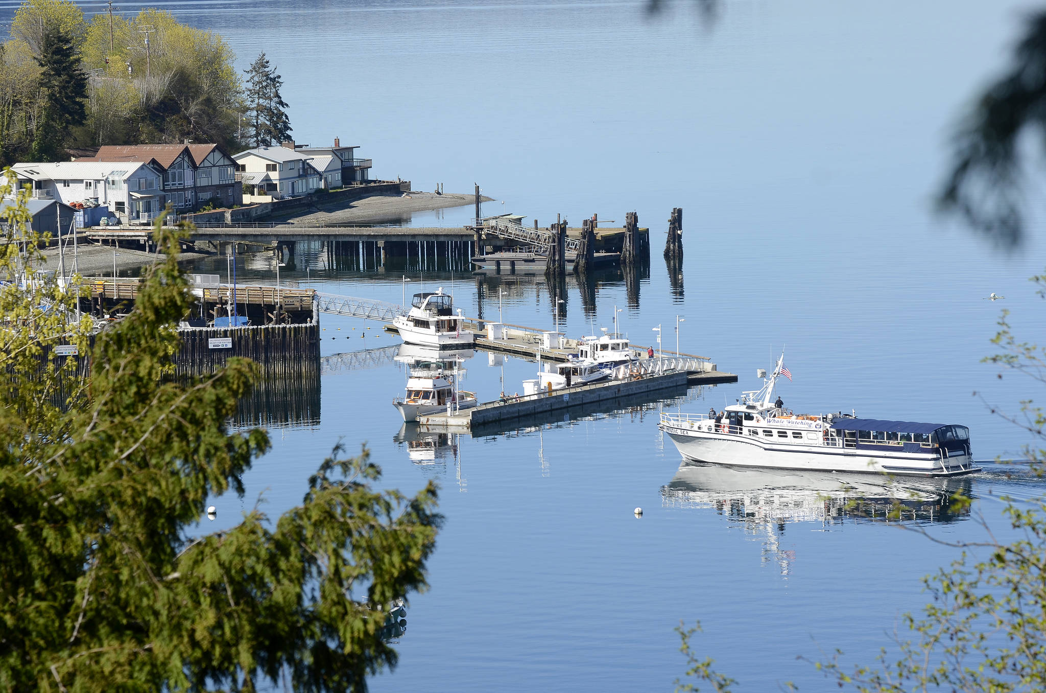 File photo                                Mystic Sea heads into South Whidbey Harbor.