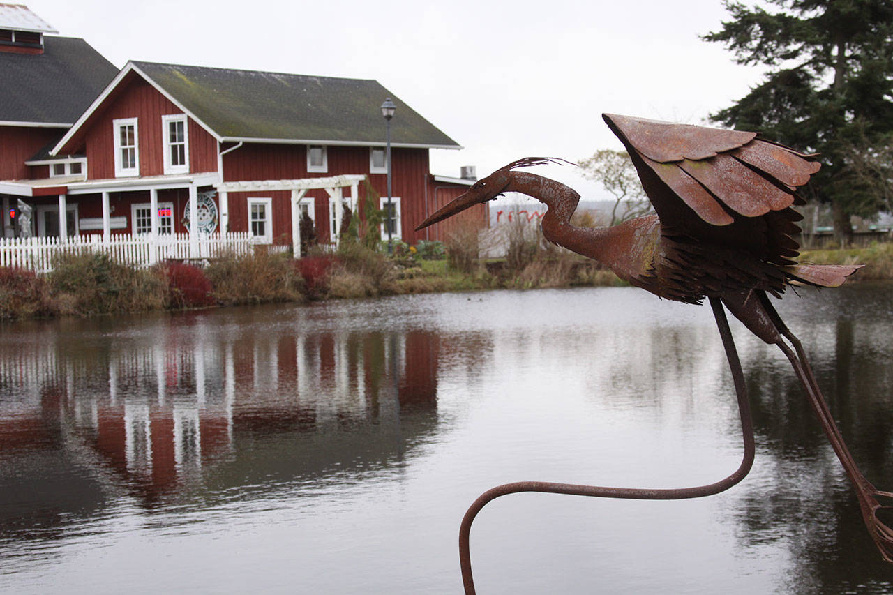 The pond at Greenbank Farm has an estimated 4 feet of organic material that needs to be dredged from the bottom, a project that could cost upwards of $46,000. 2017/Whidbey News-Times file photo