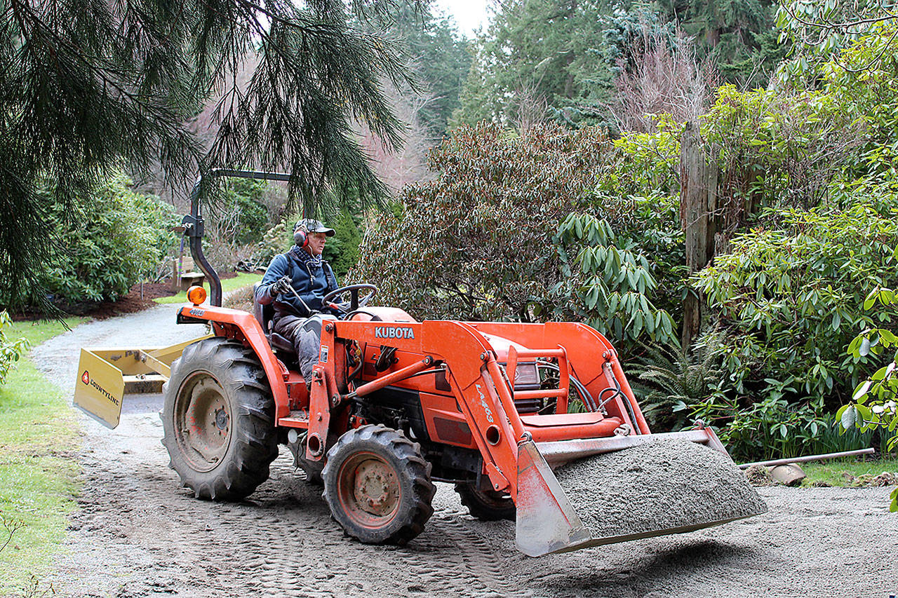 Photos by Patricia Guthrie/Whidbey News-Times                                Many changes took root at Meerkerk Gardens this winter, including a new configuration of strolling paths. Frank Simpson, executive director and garden manager, brings in another layer of crushed rock to rack.