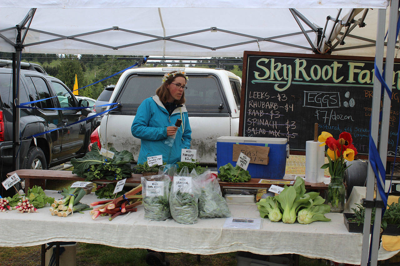 Arwen Normand, manager of SkyRoot Farm in Maxwelton Valley, had plenty of spring veggies to sell at the Bayview Farmers Market opening on Saturday. The market is open 10 a.m. - 2 p.m. every Saturday through the fall.