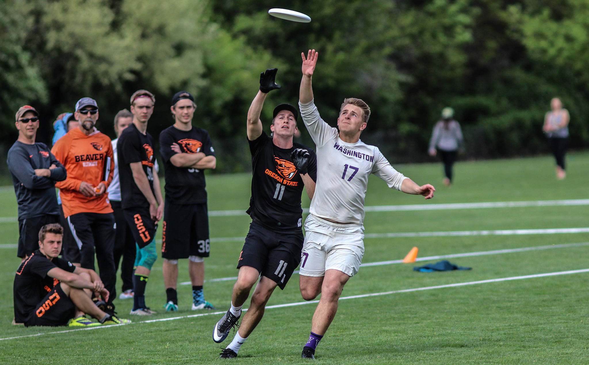 Will Simms (17), playing for the University of Washington, reaches to make a catch against Oregon State at the regional championships. (submitted photo)
