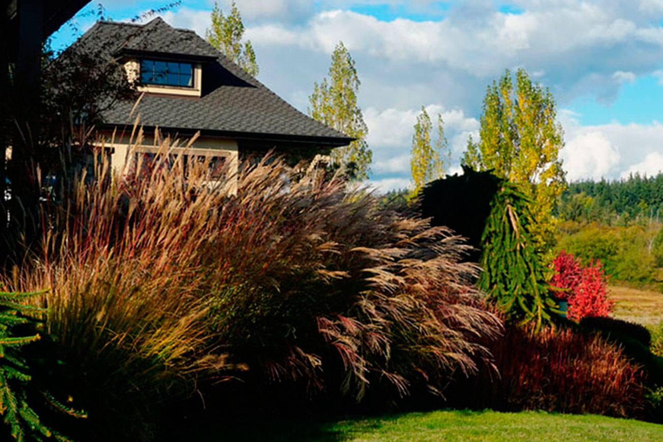 Whidbey Island Garden Tour highlights five homes