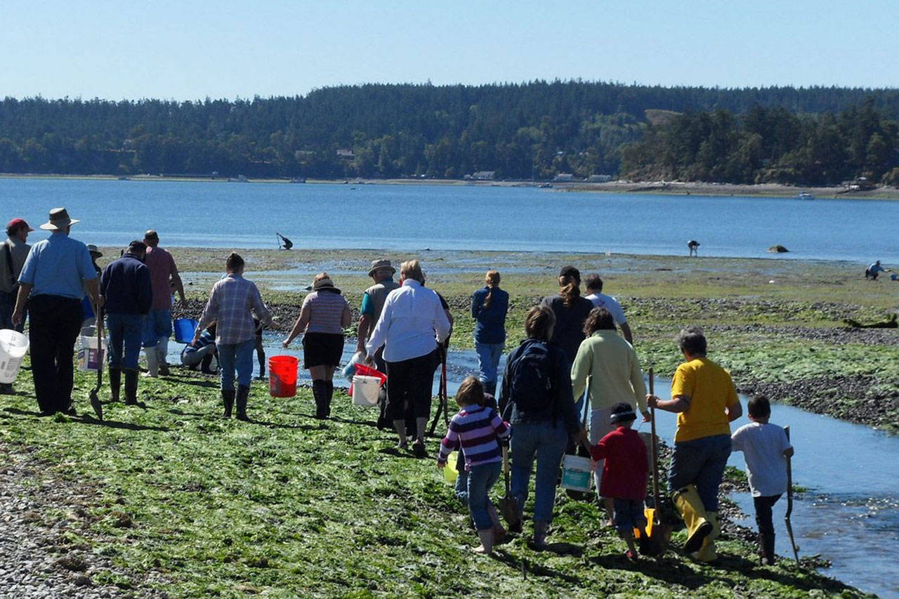 Sound Water clamming classes take place at Double Bluff beach and are popular with people of all ages. Photo provided