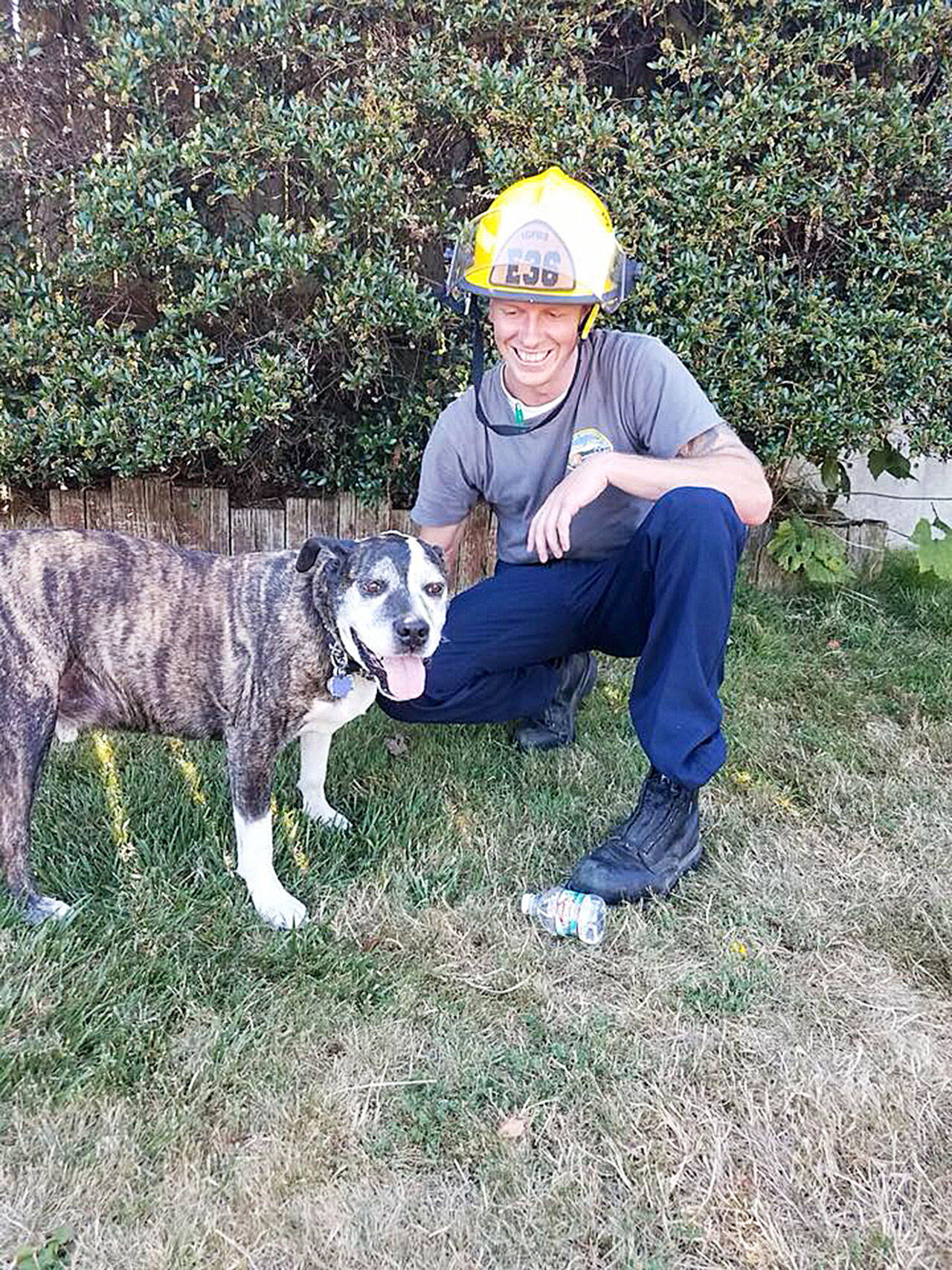 Firefighter Billy Piepenbrink kneels with his new furry friend Wednesday after rescuing the dog that fell about 20 feet down the bluff at Deer Lagoon. Photo provided