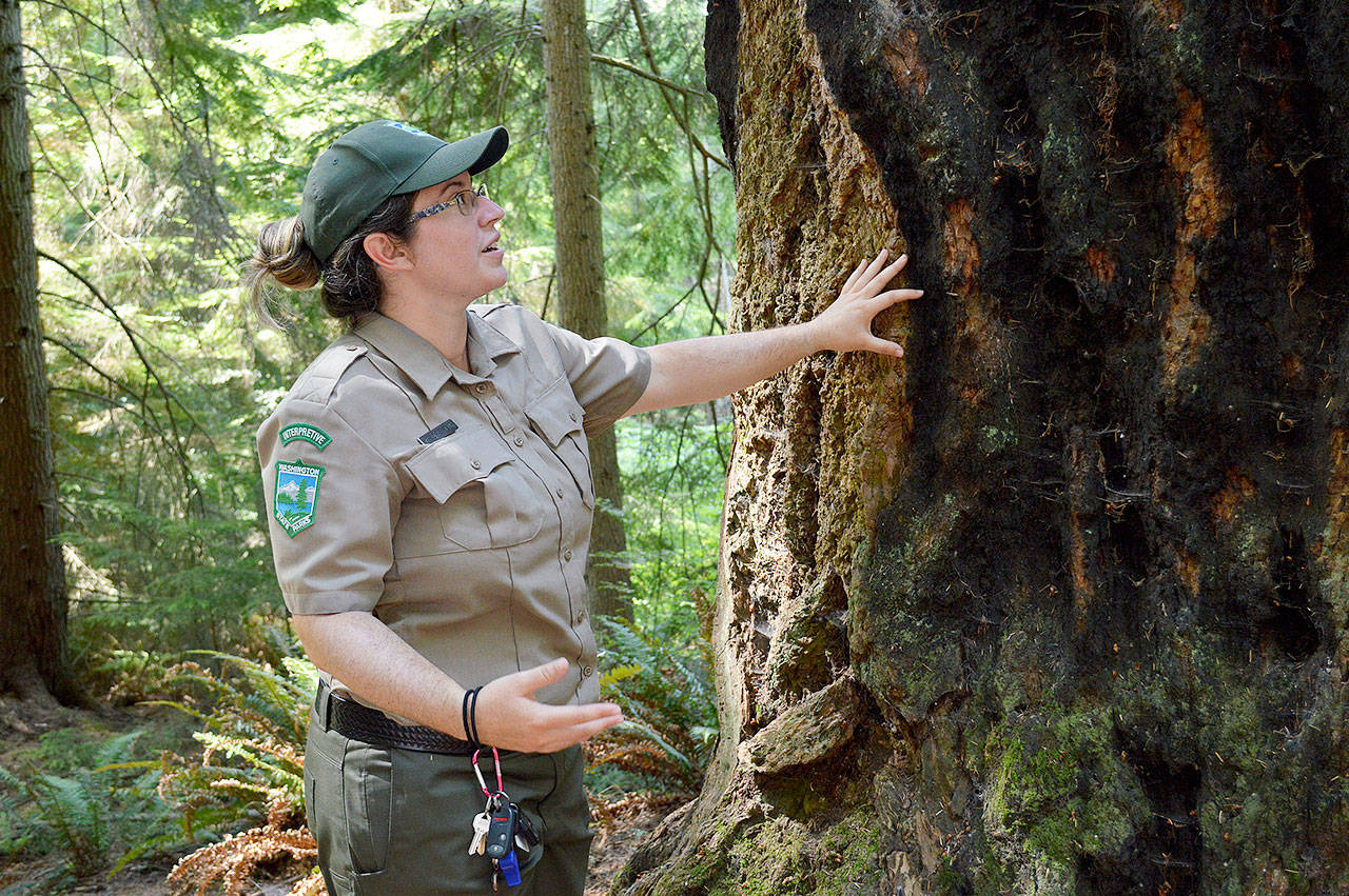 Jackie French, interpretative specialist at Central Whidbey State Parks, points out burn marks on a Douglas fir and explains how its thick bark is fire resistant. French has a passion for outdoor education and leads junior ranger programs and guided hikes at state parks on the island. Photo by Laura Guido/Whidbey News-Times
