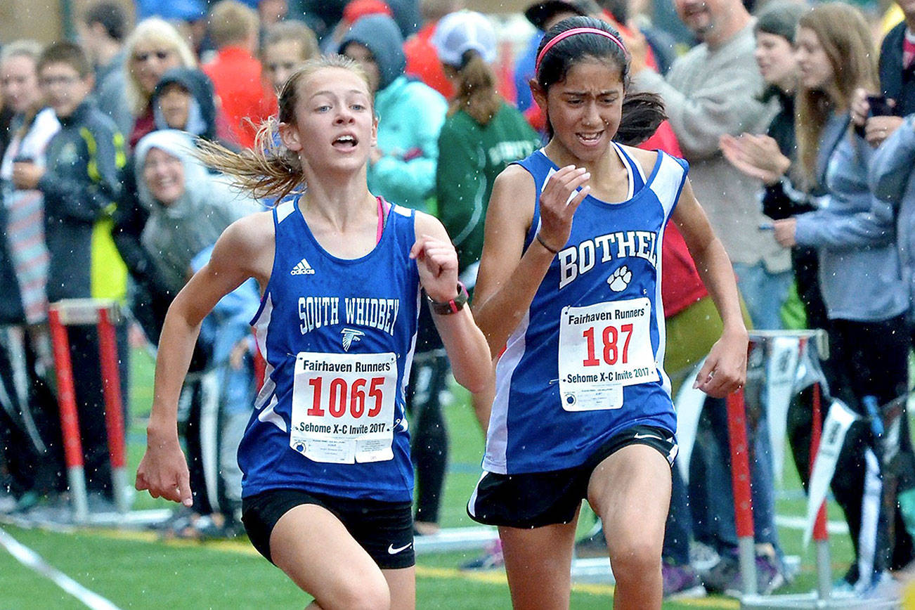Prep preview / Cross country