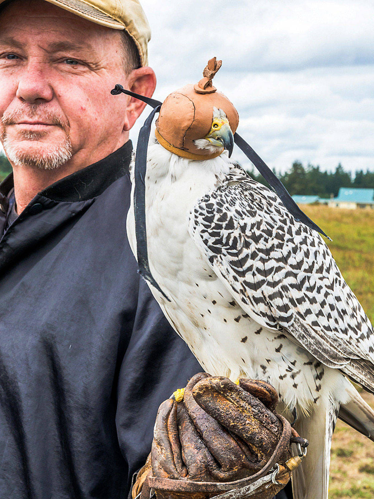 Sammy Holloway with a hybrid gyrfalcon.                                (Photo by John Dier/Pacific Rim Institute)