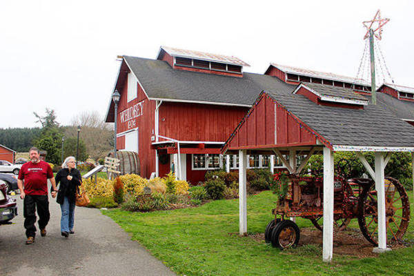 Greenbank Farm is celebrating Whidbey’s farming heritage and community at its Harvest Faire noon to 5 p.m. Sunday, Sept. 30. Live music, events and demonstrations are planned and craft vendors, fresh produce and food trucks will be on hand. (File photo)