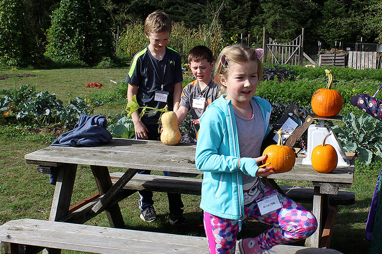 Pupils pick precious pumpkins for pies