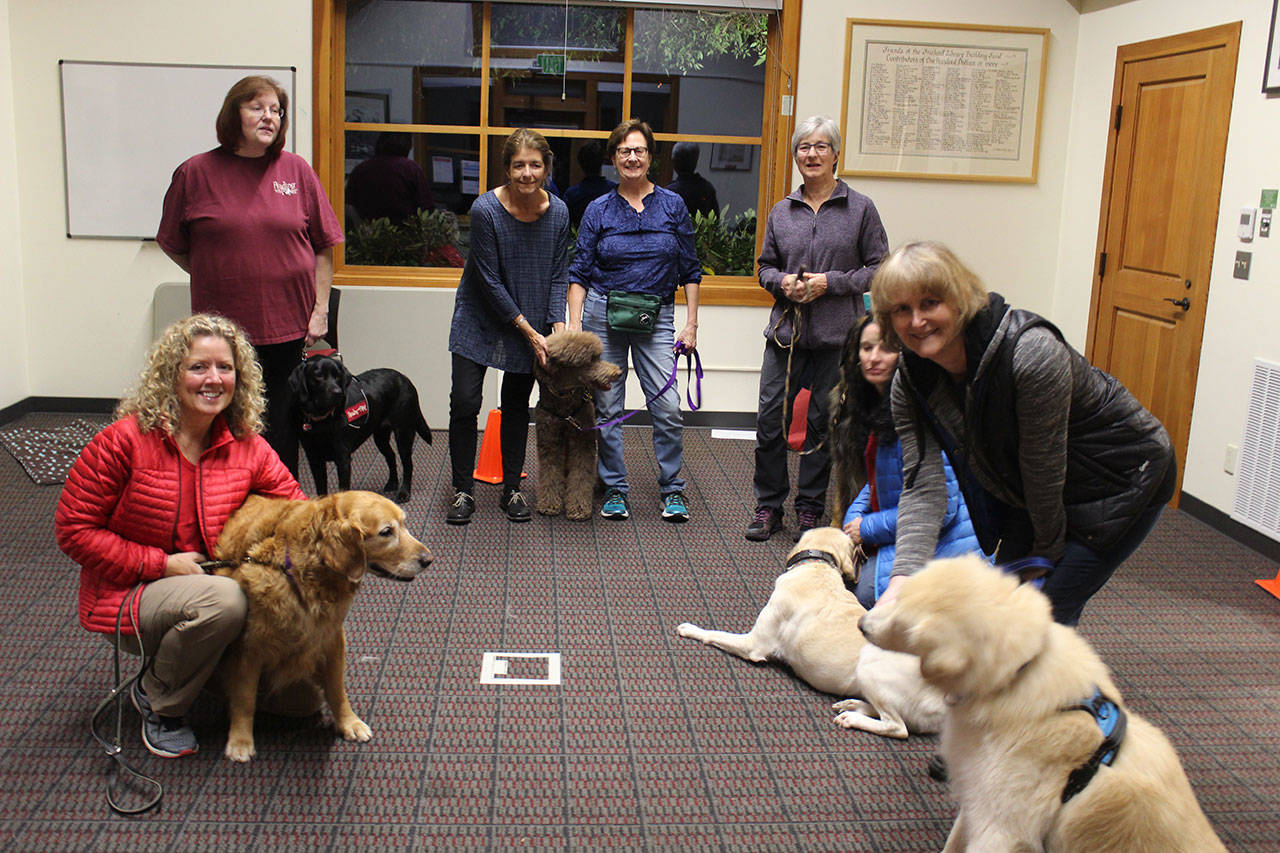 Teams of dogs and owners meet for a Reading with Rover class at Freeland Library. More therapy dog training classes are expected to be offered through South Whidbey Parks & Recreation. (Photo by Patricia Guthrie/Whidbey News Group)
