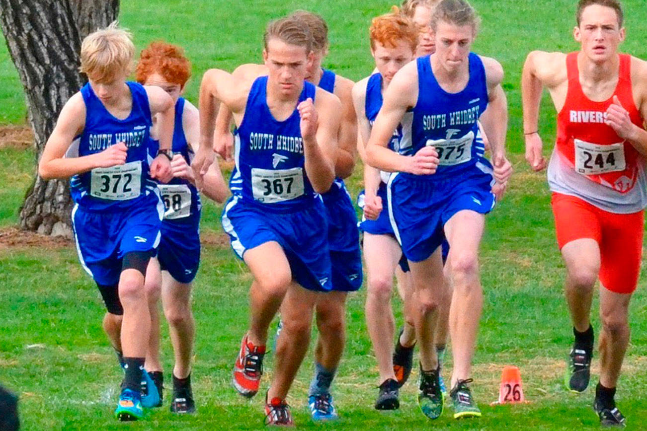 Falcon boys finish 11th, girls 12th at state meet / Cross country