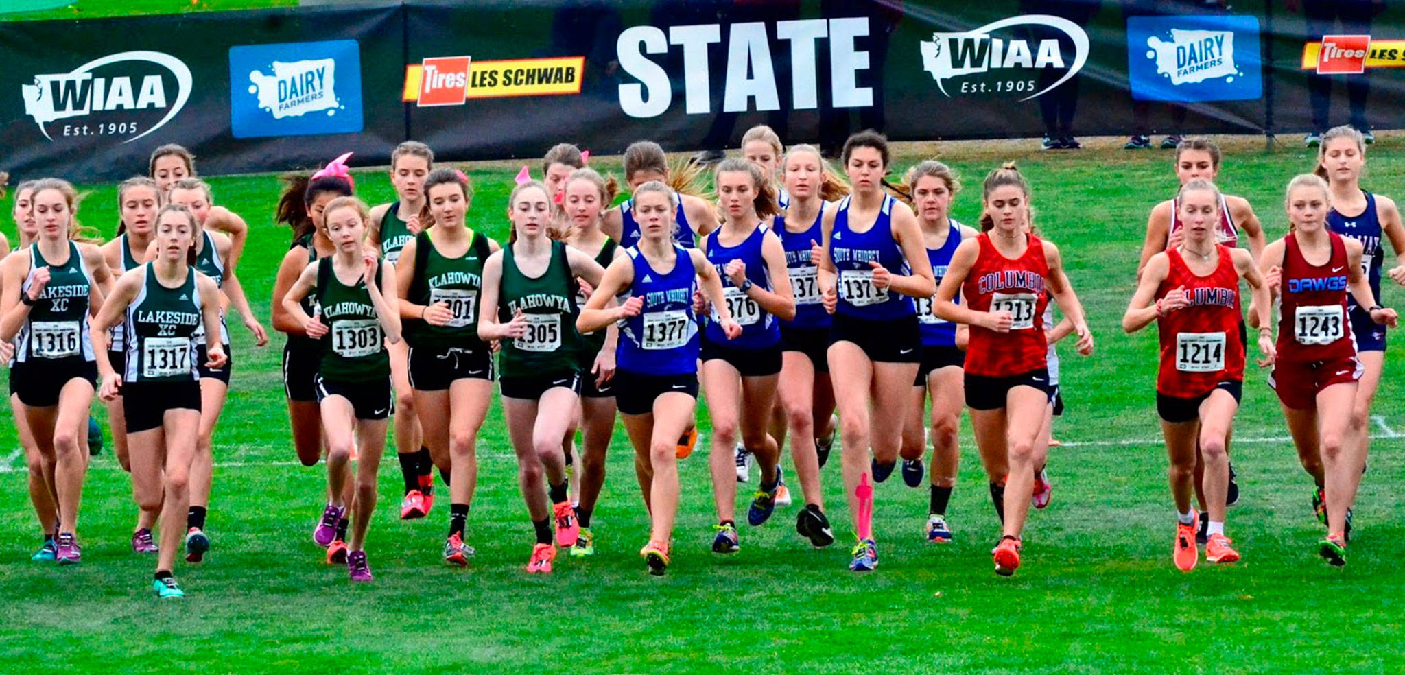 The South Whidbey girls, center, begin Saturday’s state championship race.(Photo by Karen Swegler)
