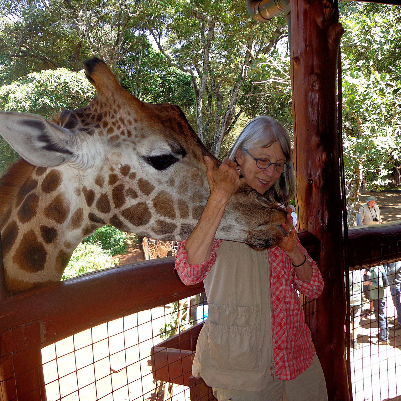 Photograph provided by Connie Lloyd. While on safari in Kenya, Connie Lloyd has an opportunity to hug a giraffe.