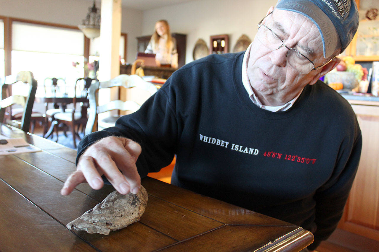 Kirk Lacewell looks at the fossilized tooth of a mammoth estimated to be 13,000 years old by University of Washington paleontologists. (Photo by Patricia Guthrie/Whidbey News Group)