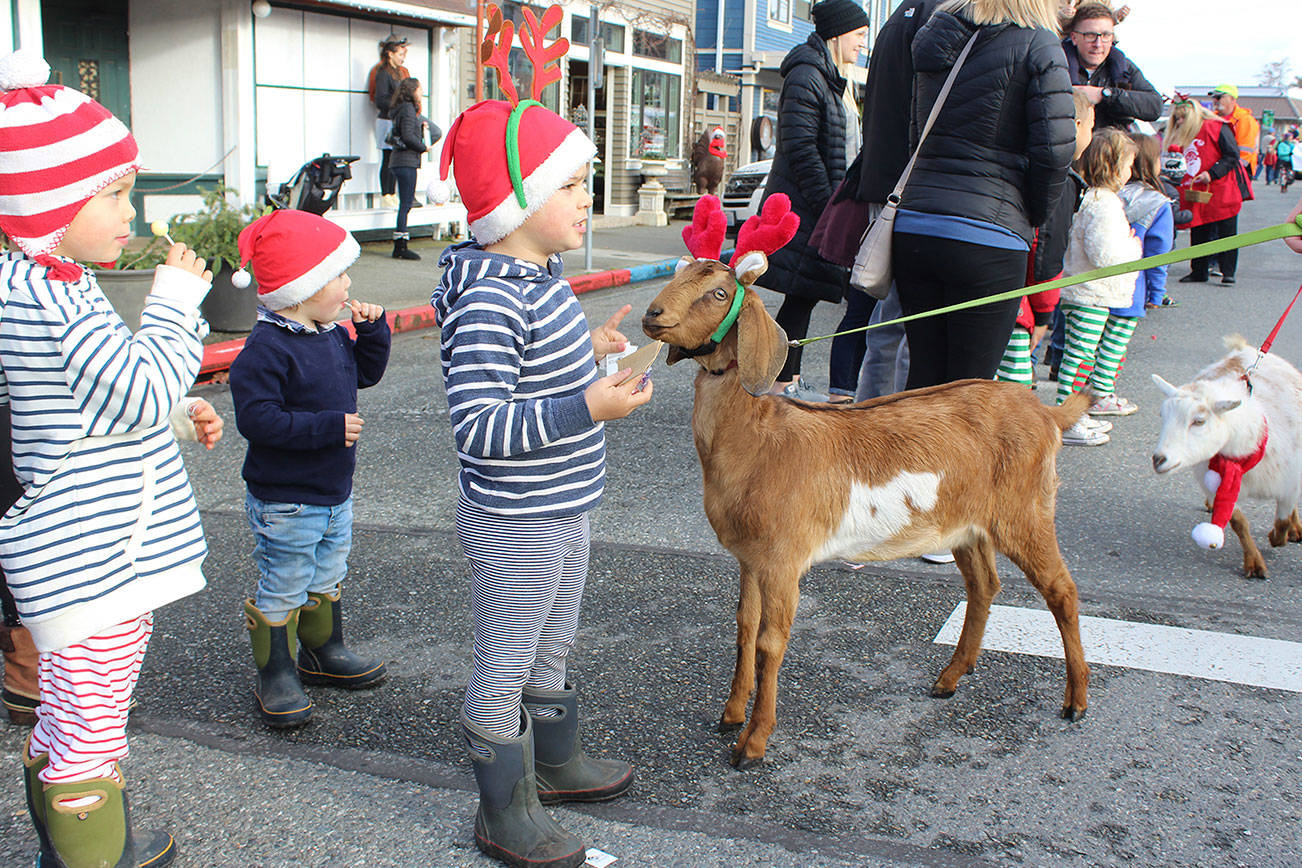 Goats and floats star in Langley ‘Holly Jolly Parade’