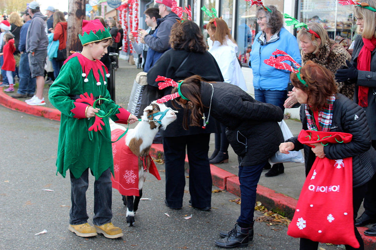 A goat checks out the horns of a parade-goer who checks out the goat’s goatee. (Photo by Patricia Guthrie/Whidbey News Group)