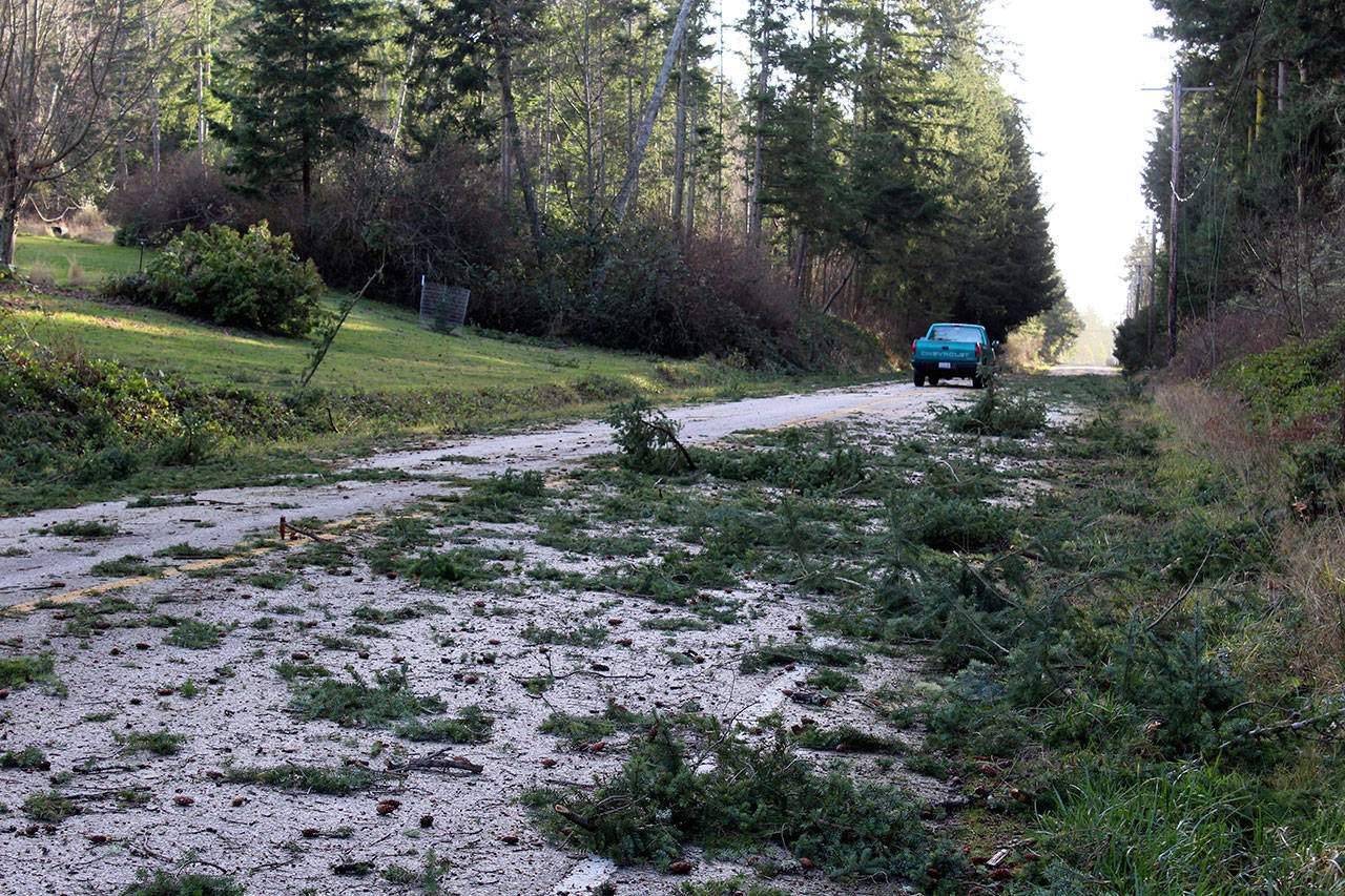 Powerful winds knocked down trees and sent branches skidding over roads throughout Whidbey Island Thursday. (Photo by Patricia Guthrie/Whidbey News Group)