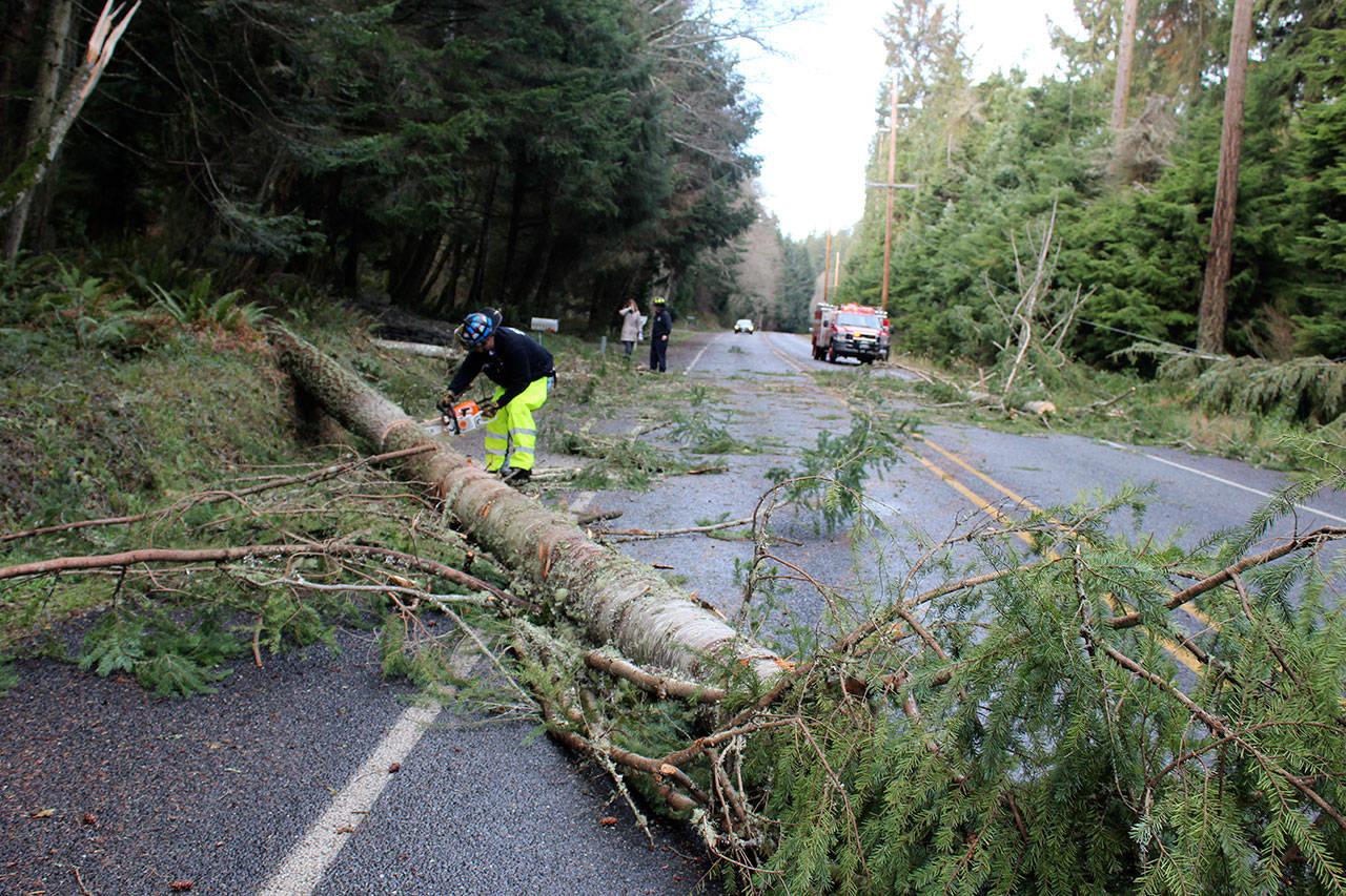 Frank Gesing with Central Whidbey Island Fire and Rescue clears trees off Smugglers Cove Road Thursday afternoon as Brent Stevens speaks with a resident about downed power lines. (Photo by Patricia Guthrie/Whidbey News Group)