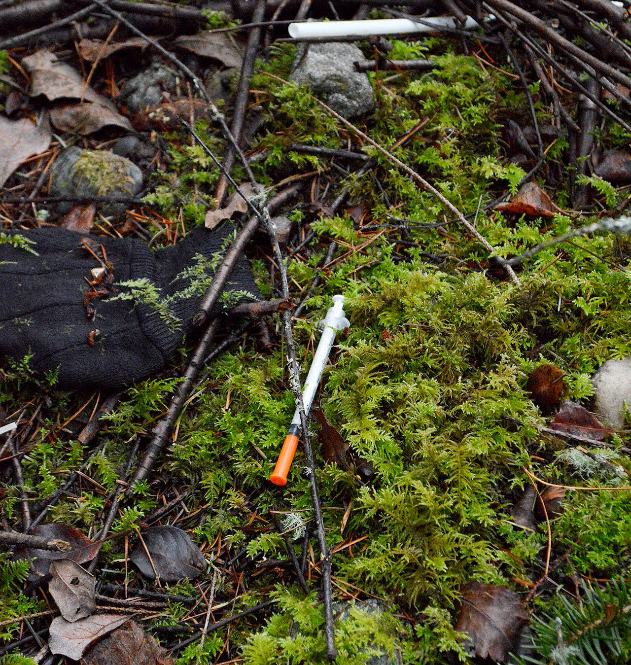 A hypodermic needle was found at a homeless camp near Oak Harbor. (Photo by Laura Guido / Whidbey News group)