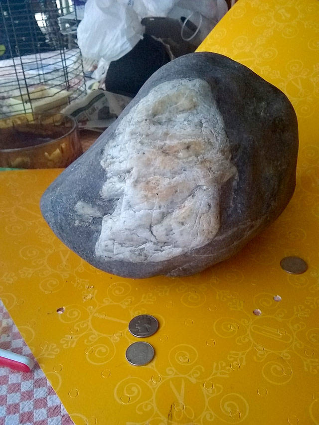 Do you see it? Found rock resembles image of George Washington