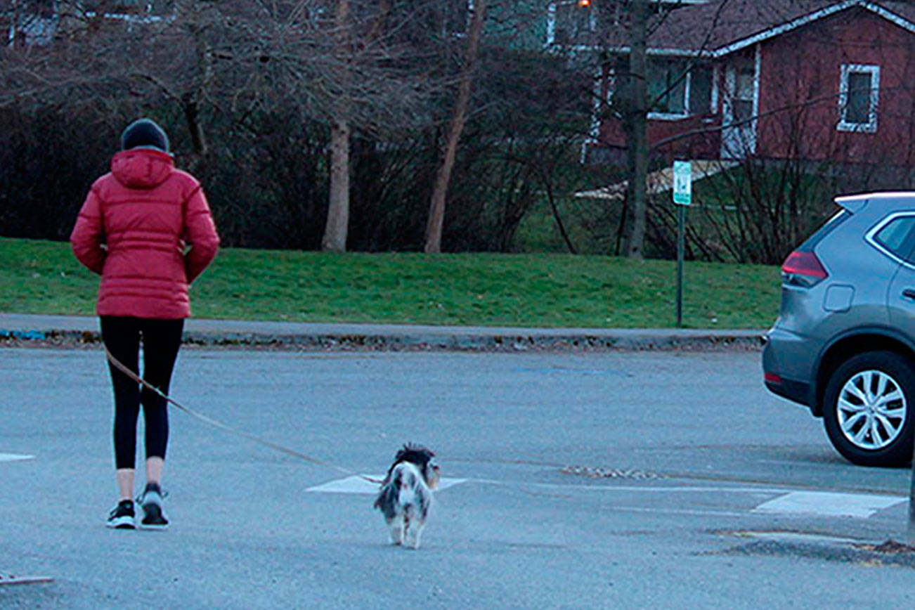 Langley leash law may get more teeth South Whidbey Record