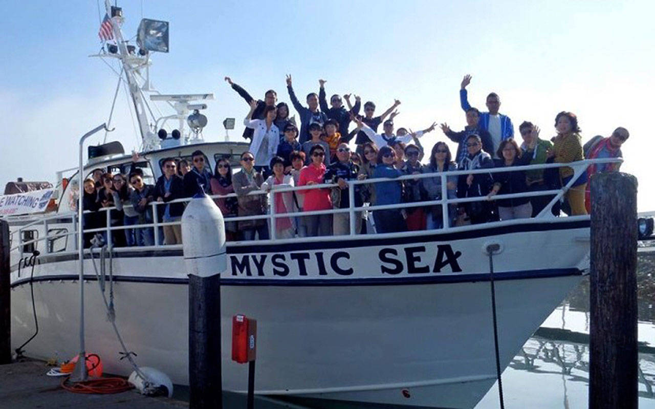 For 28 years, people from across the country and around the world boarded the Mystic Sea to get a glimpse of whales and other wonders of the Salish Sea. Last month, Mystic Sea Charters closed its business and sold its boat. (Photo provided, Langley Chamber of Commerce)