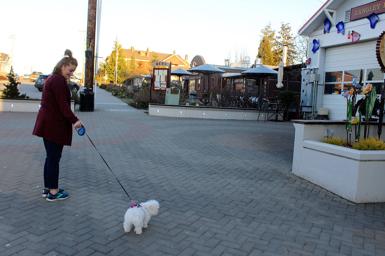 Alex Henning goes for an evening stroll in downtown Langley Monday with her little dog Luna, who she always keeps on a lease. “She’s so tiny, she’d be supper for other dogs,” Henning said. “The Langley rabbits are bigger than her.” (Photo by Patricia Guthrie/Whidbey News Group)