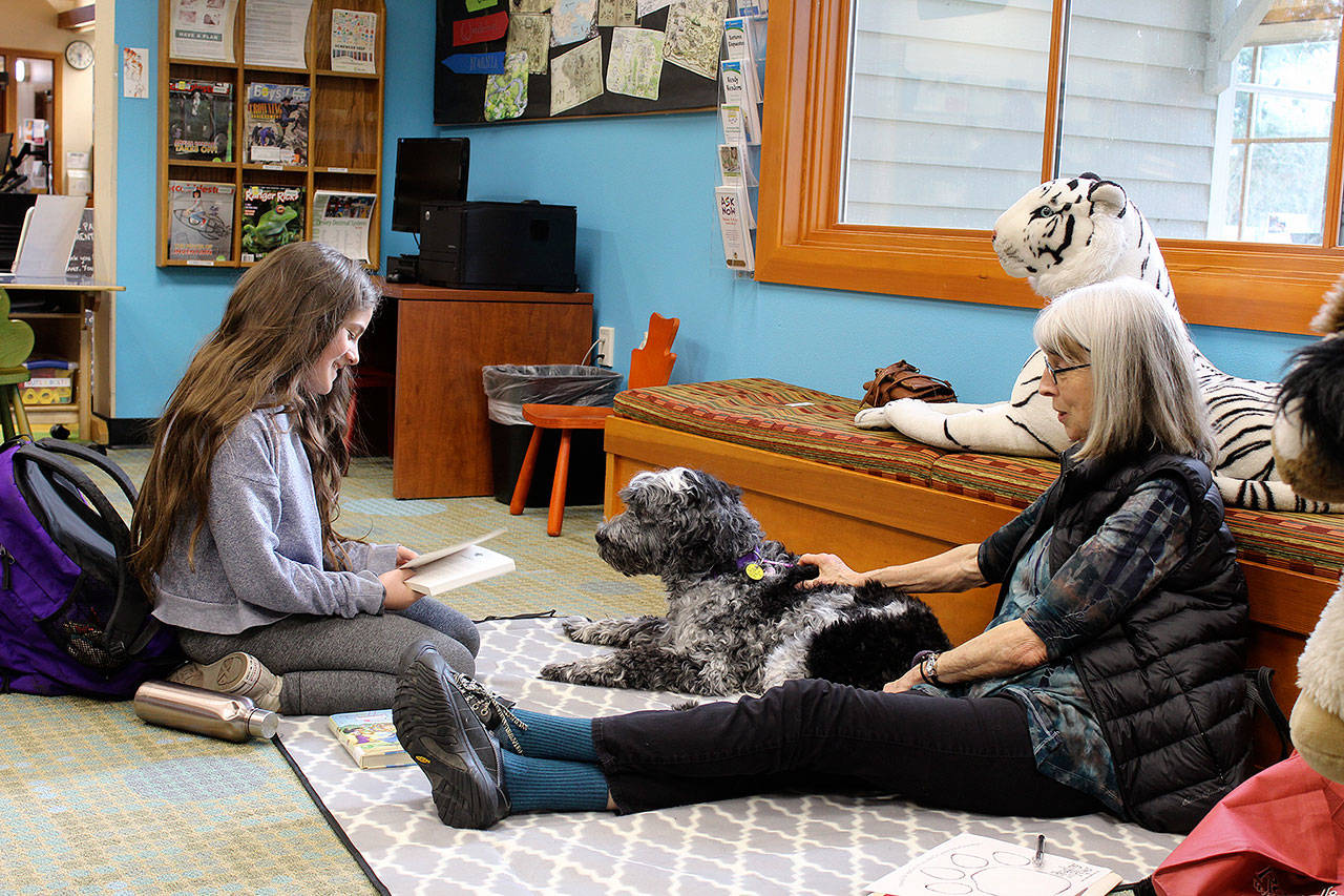 At Freeland Library, Ryalyn Rook reads from the cover of “Leatherback Blues,” a book about sea turtles, to Kiah and her owner, Connie Lloyd. The Reading with Rover program trains dogs to be a calming, friendly presence and can give confidence to kids to help improve reading skills. (Photo by Patricia Guthrie/Whidbey News Group)