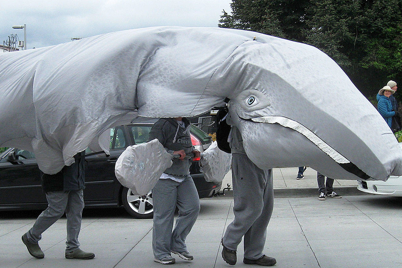 Langley celebrates whales in style