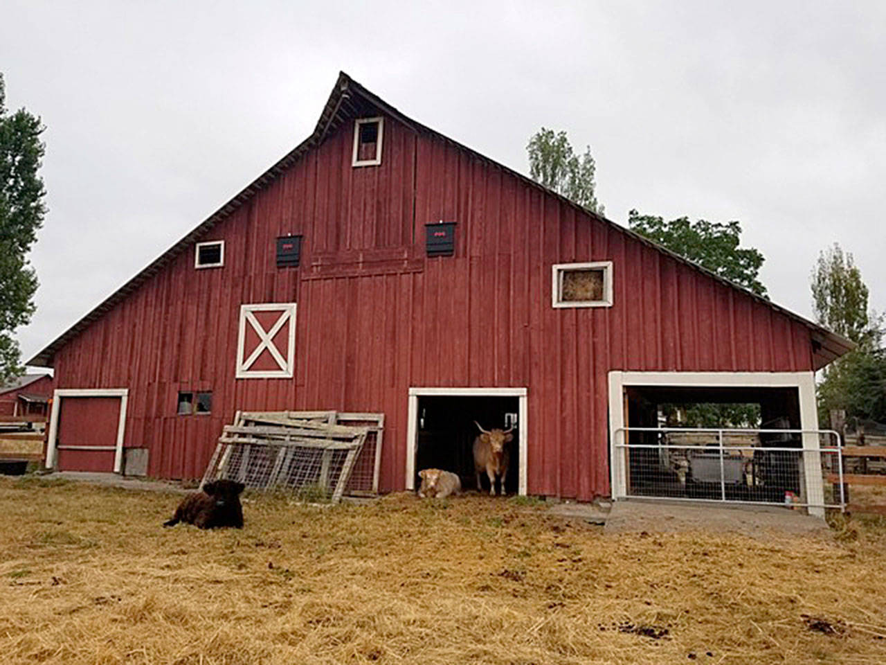 Neinhuis Dutch Barn, 2019 Ebey’s Forever Preservation Grant recipient. Photo provided